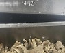 “니 상대할 새 고데기 찾으러 간다”…고교 영양사가 SNS에 올린 글, 더글로리 연상 ‘논란’