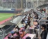 [르포]시범경기도 인기…'노 마스크'에 설레는 상춘객들