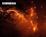 '재난급 산불' 막으려면‥활엽수 더 심고, 임도 설치도 서둘러야