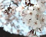 [내일 날씨] '꽃샘추위'로 쌀쌀한 출근길...최저 -5~6도