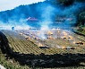 논·밭두렁·쓰레기 태우기로 인한 산불 약 80% 증가…산림청, ‘불법 소각 없는 마을’ 지원키로