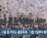 다음 달 여의도 봄꽃축제…“4월 1일부터 통제”