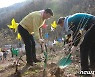 계룡시, 식목일 맞아 향적산 치유의 숲서 나무심기 행사