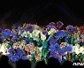 순천만 국제정원 박람회 개막식 화려한 공연