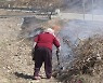 [날씨] '소각 산불' 2배 급증...고온에 건조경보, 주말도 비상