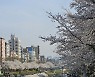 오늘날씨, 건조한 봄 일교차 20도 이상...미세먼지 ‘나쁨’