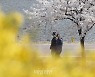 [내일날씨] 전국 맑고 초여름 날씨…수도권 미세먼지 '나쁨'