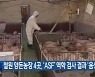철원 양돈농장 4곳, ‘ASF’ 역학 검사 결과 ‘음성’
