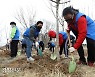[여적] ‘식목일을 옮기자’