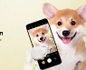 삼성전자, 세계 최초 '강아지용 스마트폰' 출시?