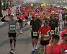즐거운 경주벚꽃마라톤