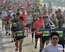 국제마라톤이 된 경주벚꽃마라톤 대회