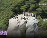 선홍빛 동백꽃 융단에 취해 바닷가 숲속에서 길을 잃었네[전승훈의 아트로드]