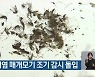 일본뇌염 매개모기 조기 감시 돌입