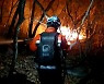 경북 군위군 소보면 야산서 화재…인명 피해 없어