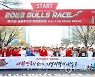 제14회 금융투자인 마라톤 개최