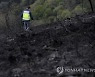 SPAIN FOREST FIRE