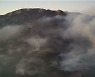 강화 마니산 또 산불 재발화…건조·바위틈 불씨 탓