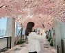 신세계百, 본점·강남점 등 8개 점포에 '봄꽃' 연출