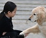 [포토 카페] 반려(伴侶)