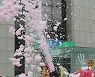 비오는 날 '버블버블'