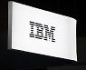 IBM, 日 라피더스에 2나노 기술 전수 본격화…"협력 확대 기대"