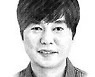 [데스크의눈] “이런 게 정부 역할”