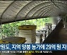 강원도, 지역 양봉 농가에 29억 원 지원