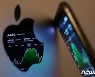 'AI 열풍' 애플 180달러 돌파, 사상 최고 근접…시총 3조달러 눈앞