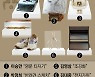 이승만 영문 타자기, 박정희 반려견 스케치