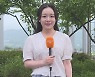 [날씨] 오늘 전국 맑고 낮더위…곳곳 요란한 소나기