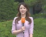 [날씨] 남부 기온 껑충, 전국 낮더위…곳곳 소나기