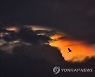 INDIA CLOUD IRIDESCENCE