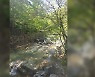 울산 석남사 계곡서 70대 물에 빠져 사망