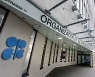 OPEC+ 추가감산 여부 '촉각'…“최대 100만배럴 줄일수도”