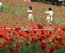 [포토] 양귀비보다 예쁜 당신