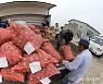 마늘 가격 하락 제주 농가 돕자…서귀포in정, 직거래 큰 호응