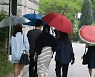 비 내리는 오후