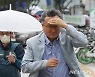 '비를 피해'
