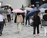 비 내리는 서울
