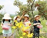 고사리손으로 보리수 열매 따는 어린이들