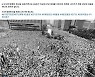 김동연 "尹 정부, 6·10항쟁 행사 불참은 자가당착, 옹졸한 일"