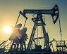 [국제유가] 미국·이란 핵협상 보도 부인 '2주째 약세'… WTI 1.57%↓