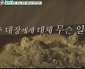 '돌발상황' 추성훈, 동굴등반中 추락사고..위험천만 [Oh!쎈 리뷰]