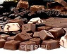 “사탕·초콜렛, 주요 기호식품”…수출 블루오션인 나라는[食세계]
