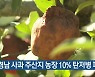 “경남 사과 주산지 농장 10% 탄저병 피해”