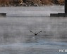 충남권 주말 동안 일교차 10~15도 내외…아침 최저 12도