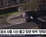 [이 시각 세계] 미국서 사람 시신 물고있던 악어 '안락사'