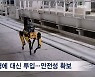 건설에도 AI 로봇…스마트 건설 '진화'