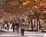 [오늘의 날씨] 대전·충남(1일, 일)…아침 기온 10도, 일교차 커